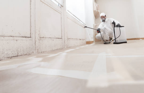 24/7 Emergency Mold Remediation experts in Riverdale, IL
