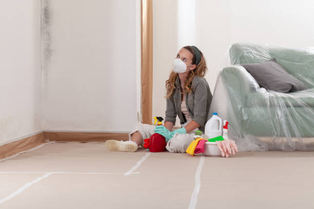 Reliable Mold Remediation contractor in Riverdale, IL by WQB Mold Removal